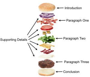 Essay how to write a body paragraph